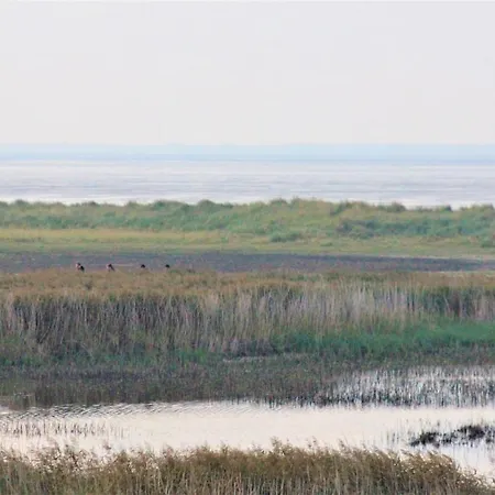 50 4 S Waterkant Schillig