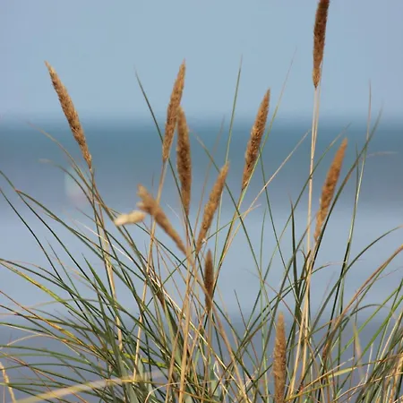 50 4 S Waterkant Lägenhet