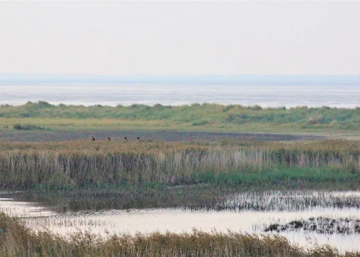 50 4 S Waterkant Schillig