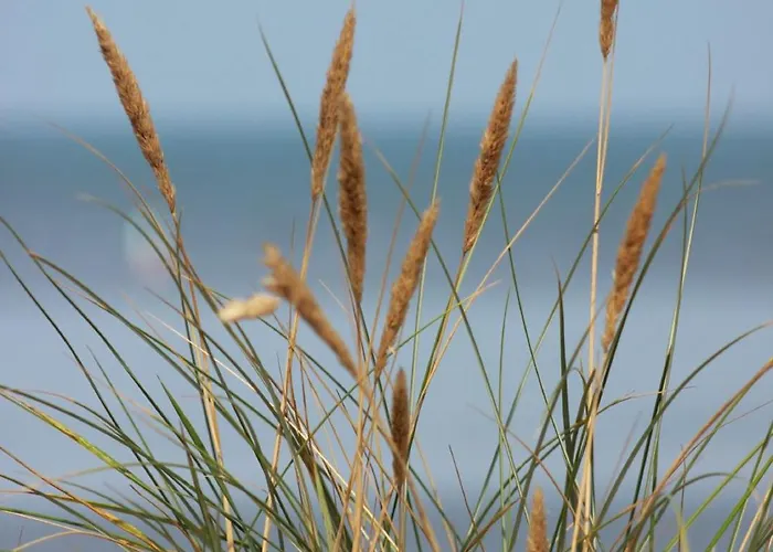 50 4 S Waterkant Διαμέρισμα