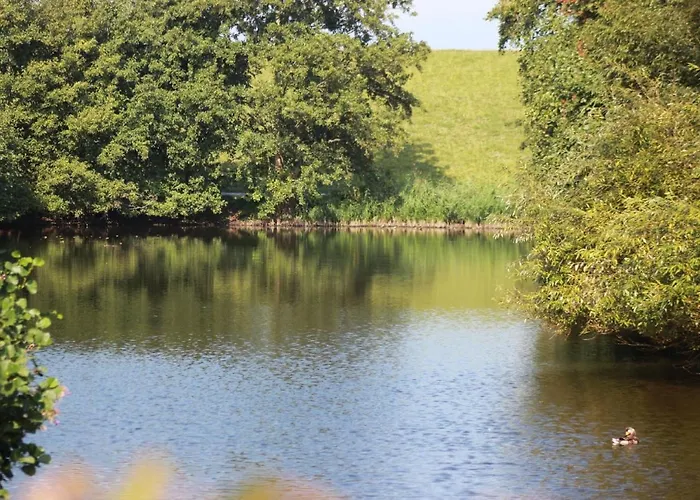 Διαμέρισμα 50 4 S Waterkant Schillig